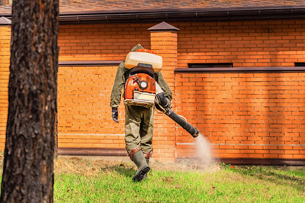 Trusted Rodent Control service in Lexington Hills, CA - Nex Pest Control